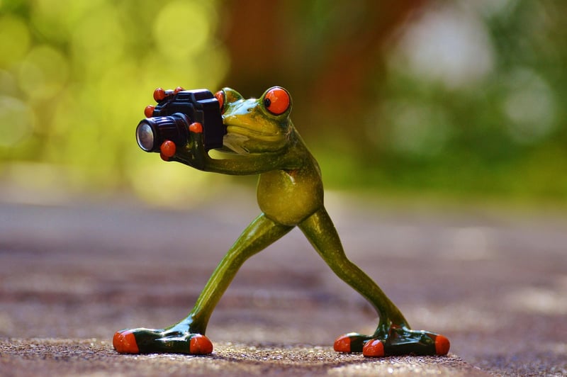 Photographer
